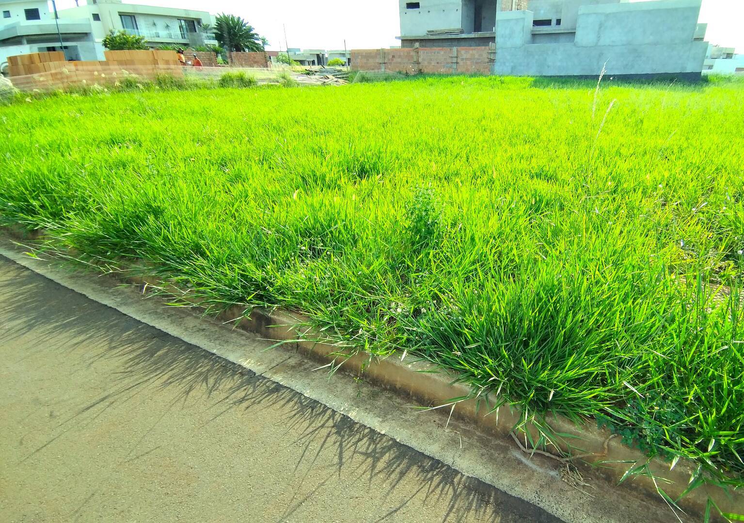 Terreno à venda, 300m² - Foto 3