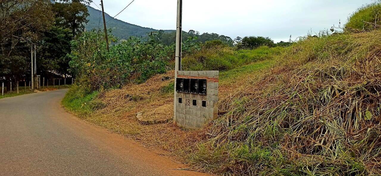 Terreno à venda, 8000m² - Foto 2