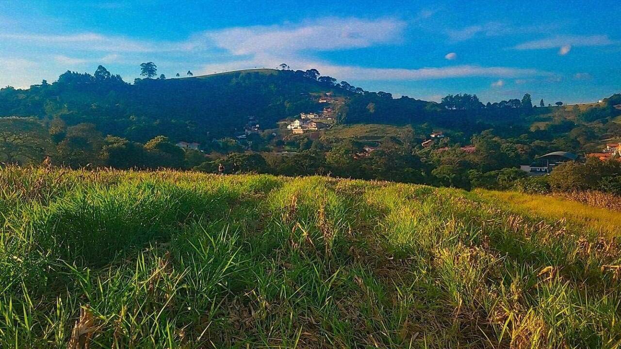 Terreno à venda, 8000m² - Foto 3