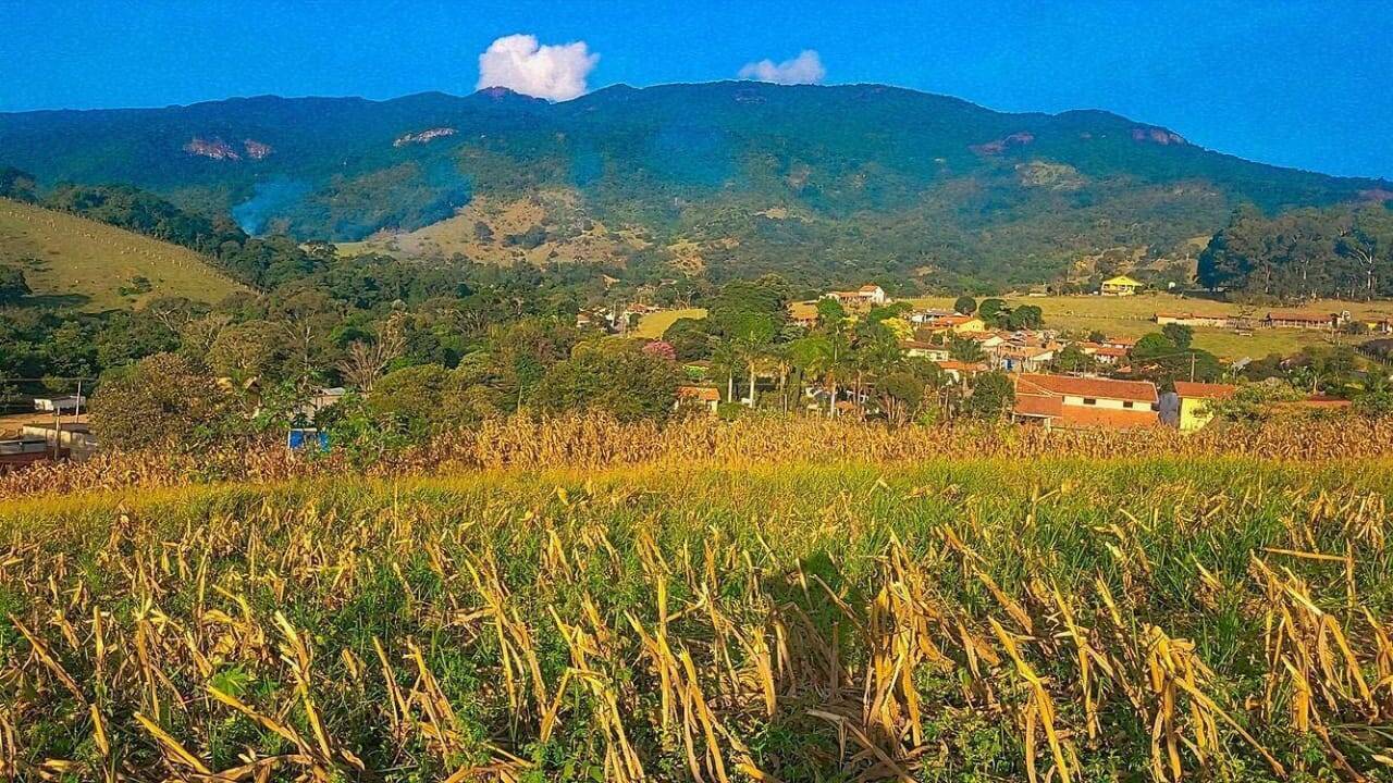 Terreno à venda, 8000m² - Foto 4