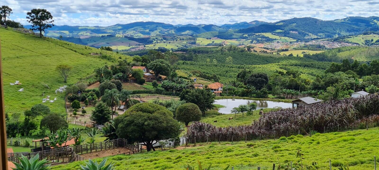 Fazenda à venda com 3 quartos, 24000m² - Foto 1