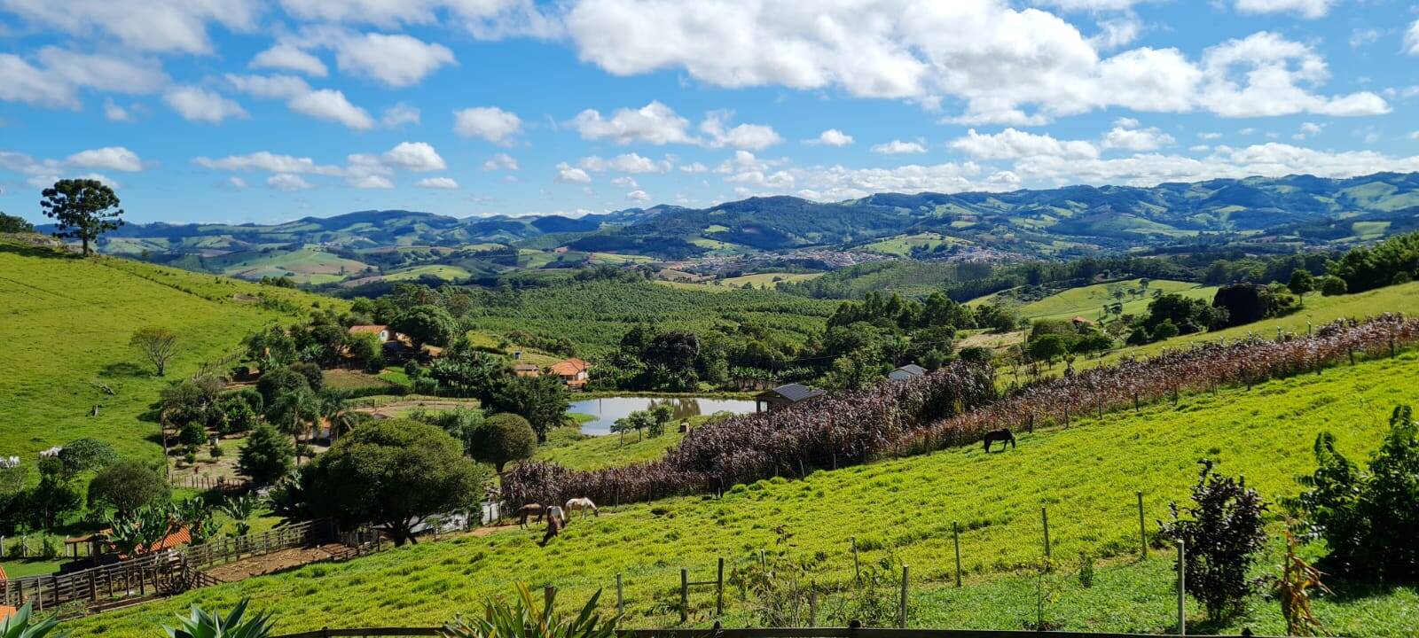 Fazenda à venda com 3 quartos, 24000m² - Foto 8