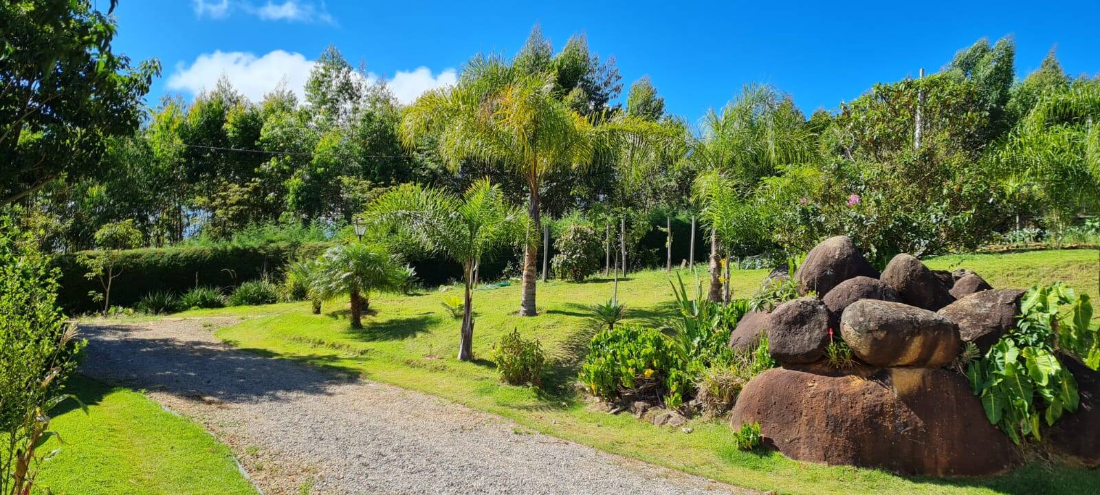 Fazenda à venda com 3 quartos, 24000m² - Foto 7