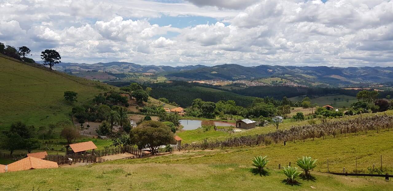 Fazenda à venda com 3 quartos, 24000m² - Foto 10